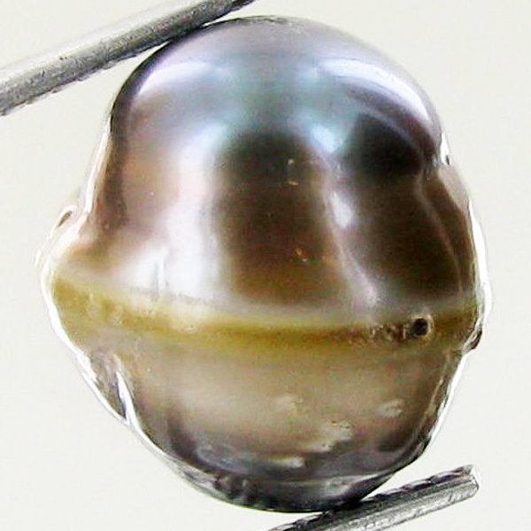 9.69ct Freeform Tahitian Black Pearl: Uniquely shaped; drilled and ready for one-of-a-kind pendant