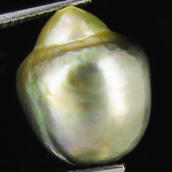 13.16ct Freeform Tahitian Black Pearl: Uniquely shaped; drilled and ready for one-of-a-kind pendant