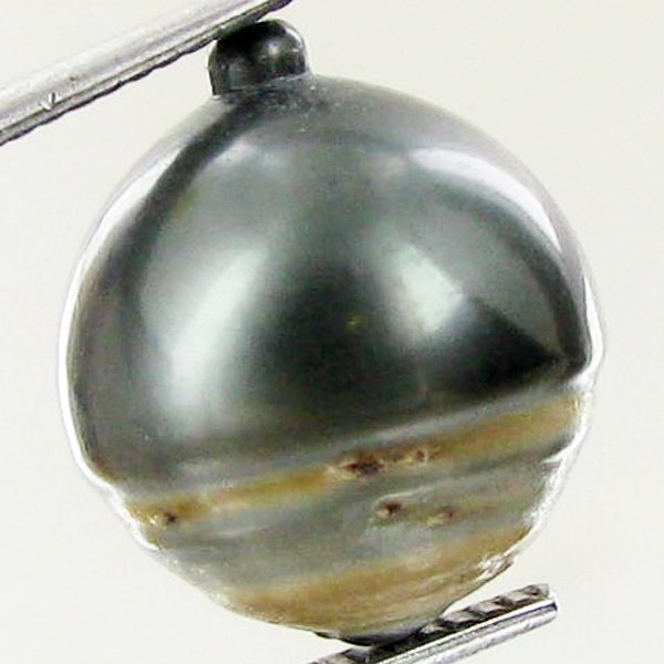 16.57ct Freeform Tahitian Black Pearl: Uniquely shaped; drilled and ready for one-of-a-kind pendant