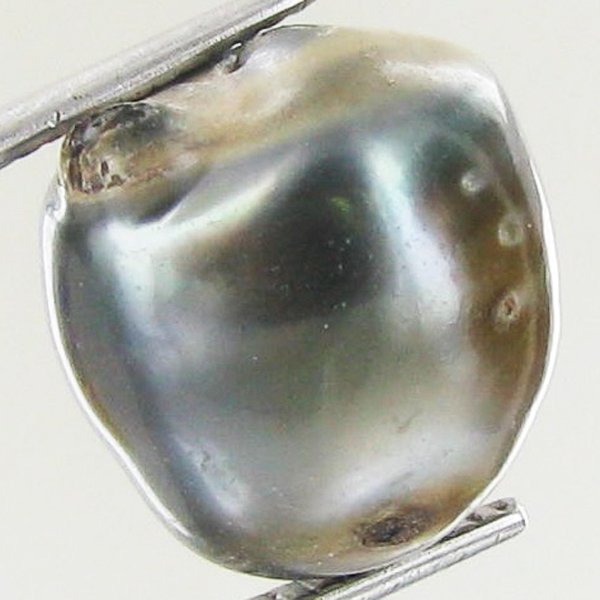 7.2ct Freeform Tahitian Black Pearl: Uniquely shaped; drilled and ready for one-of-a-kind pendant