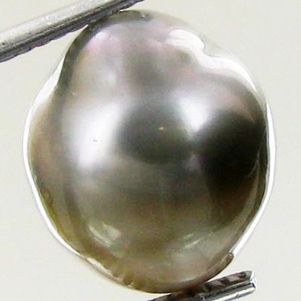 9.73ct Freeform Tahitian Black Pearl: Scarcely shaped; drilled and ready for one-of-a-kind pendant
