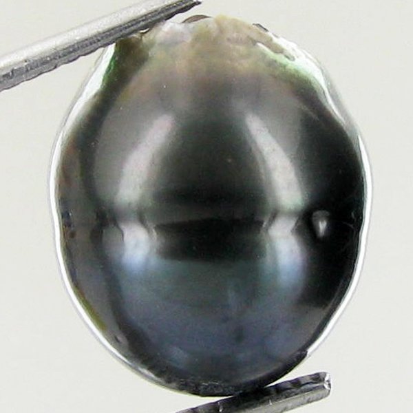 15.83ct Freeform Tahitian Black Pearl: Scarcely shaped; drilled and ready for one-of-a-kind pendant