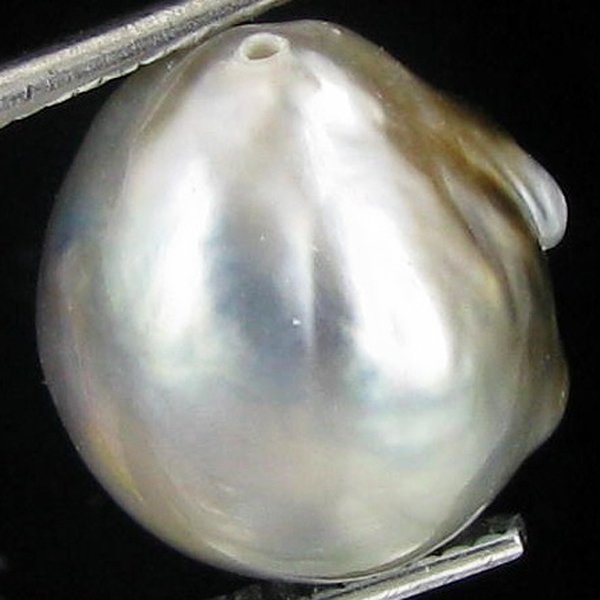 11.84ct Freeform Tahitian Black Pearl: Scarcely shaped; drilled and ready for one-of-a-kind pendant
