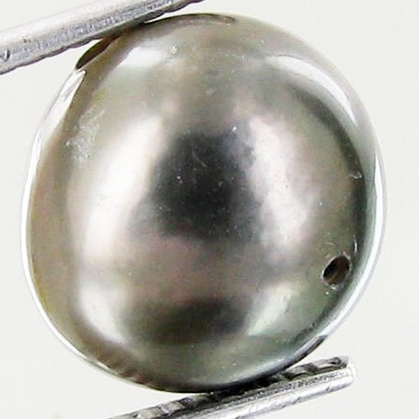 8.5ct Freeform Tahitian Black Pearl: Scarcely shaped; drilled and ready for one-of-a-kind pendant