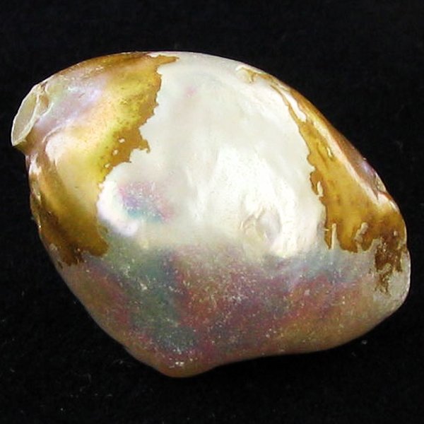 40.55ct Tahitian Baroque Pearl: Baroque shaped; drilled and ready for one-of-a-kind pendant
