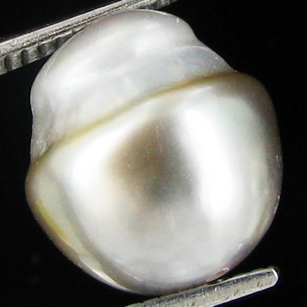 8.58ct Freeform Tahitian Black Pearl: Scarcely shaped; drilled and ready for one-of-a-kind pendant