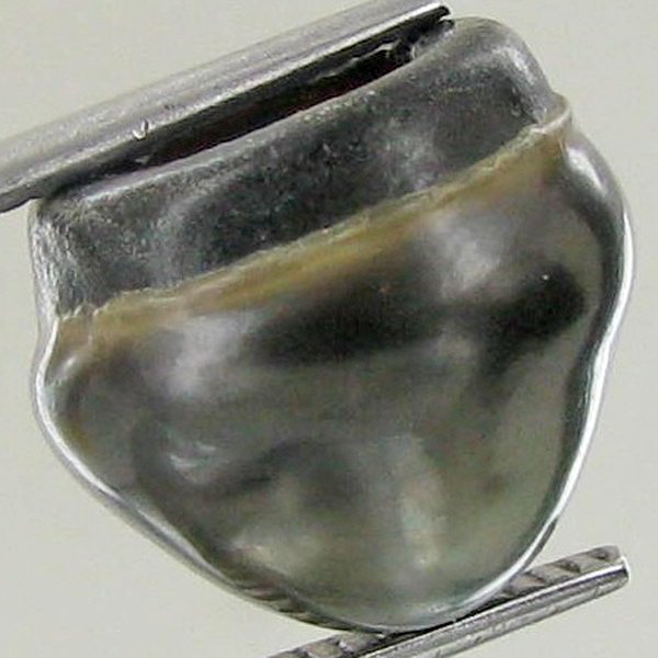 7.22ct Freeform Tahitian Black Pearl: Scarcely shaped; drilled and ready for one-of-a-kind pendant