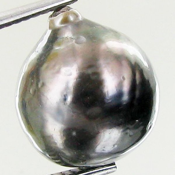 11.08ct Freeform Tahitian Black Pearl: Scarcely shaped; drilled and ready for one-of-a-kind pendant