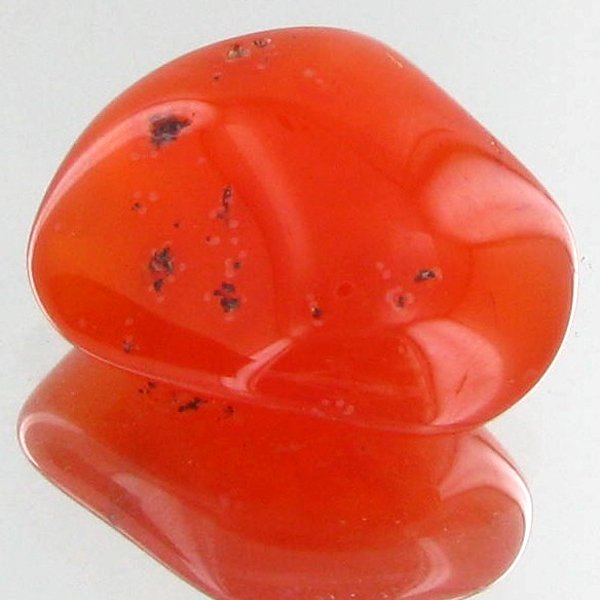 24.4ct Carnelian Freeform Cabochon: Excellent and well colored; with treatment