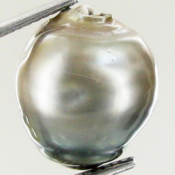 12.81ct Freeform Tahitian Black Pearl: Scarcely shaped; drilled and ready for one-of-a-kind pendant