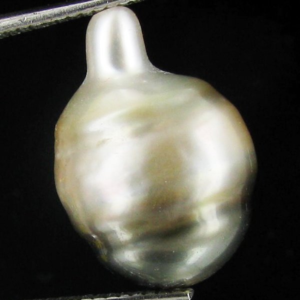 9.89ct Freeform Tahitian Black Pearl: Scarcely shaped; drilled and ready for one-of-a-kind pendant