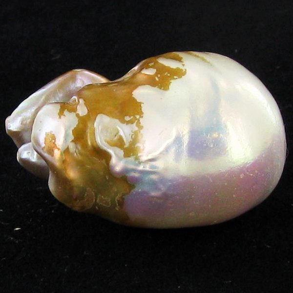45.50ct Tahitian Baroque Pearl: Baroque shaped; drilled and ready for one-of-a-kind pendant