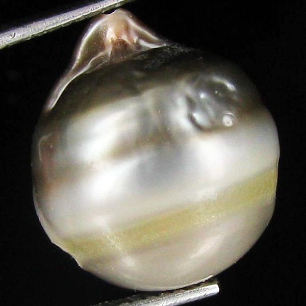 18.37ct Freeform Tahitian Black Pearl: Scarcely shaped; drilled and ready for one-of-a-kind pendant
