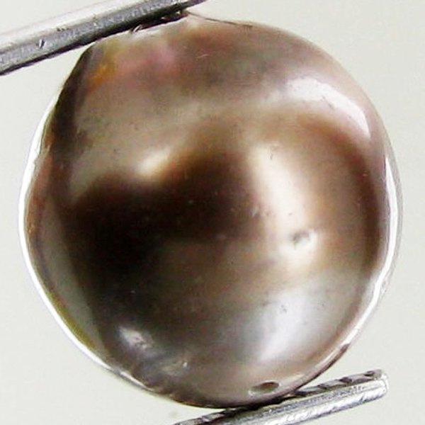 13.05ct Freeform Tahitian Black Pearl: Scarcely shaped; drilled and ready for one-of-a-kind pendant