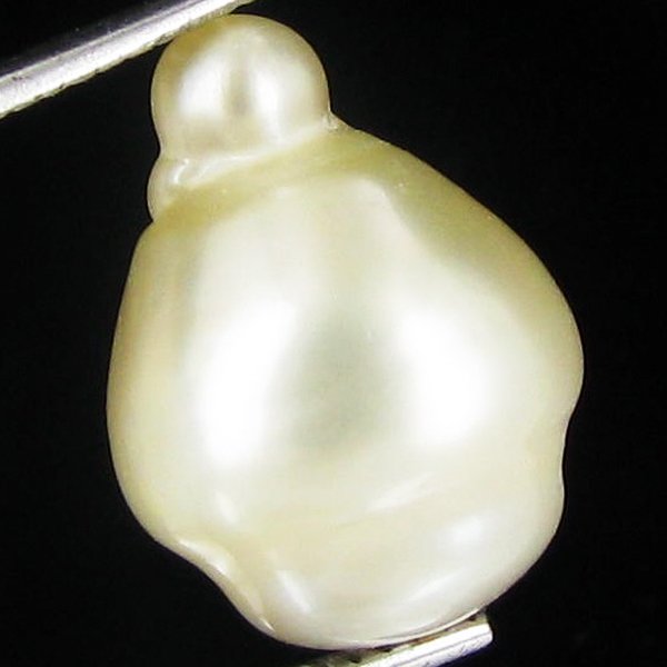 12.21ct Freeform Tahitian Black Pearl: Scarcely shaped; drilled and ready for one-of-a-kind pendant