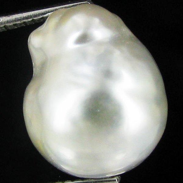 8.55ct Freeform Tahitian Black Pearl: Scarcely shaped; drilled and ready for one-of-a-kind pendant