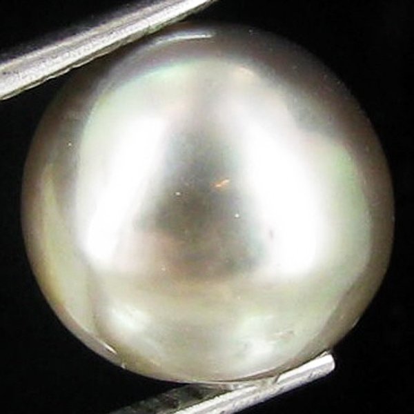 9.08ct Freeform Tahitian Black Pearl: Scarcely shaped; drilled and ready for one-of-a-kind pendant