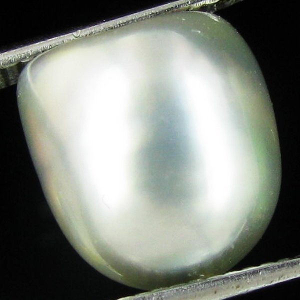 9.45ct Freeform Tahitian Black Pearl: Scarcely shaped; drilled and ready for one-of-a-kind pendant