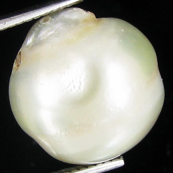16.94ct Freeform Tahitian Black Pearl: Scarcely shaped; drilled and ready for one-of-a-kind pendant