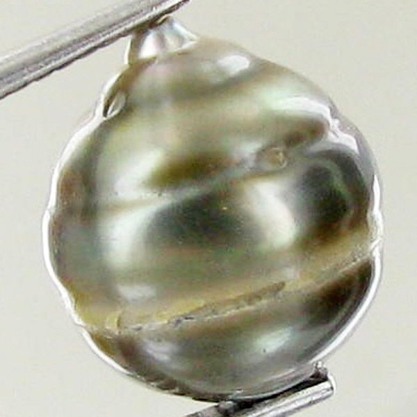 9.3ct Freeform Tahitian Black Pearl: Scarcely shaped; drilled and ready for one-of-a-kind pendant