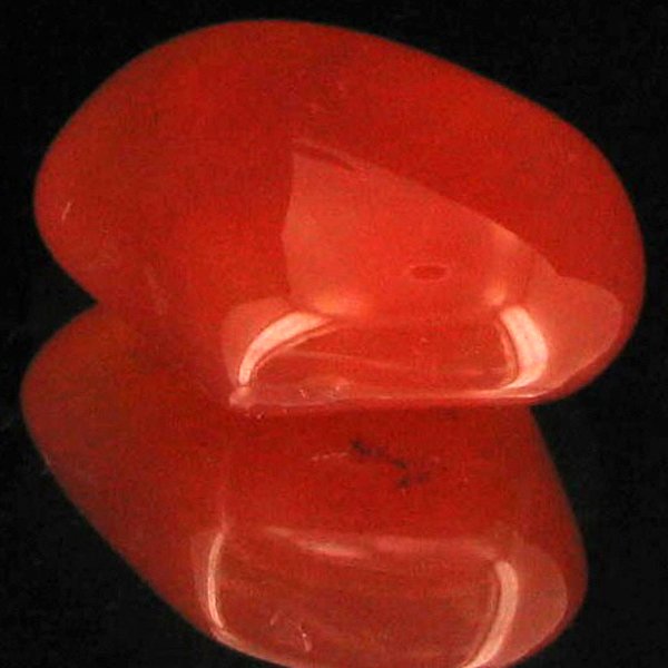 19.6ct Carnelian Freeform Cabochon: Excellent and well colored; with treatment