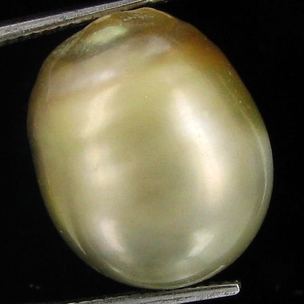 24.78ct Freeform Tahitian Black Pearl: Scarcely shaped; drilled and ready for one-of-a-kind pendant