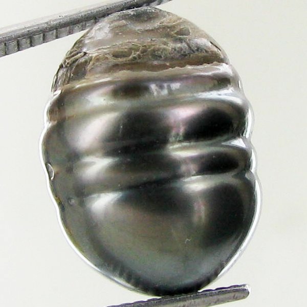 10.66ct Freeform Tahitian Black Pearl: Scarcely shaped; drilled and ready for one-of-a-kind pendant