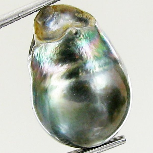 15.83ct Freeform Tahitian Black Pearl: Scarcely shaped; drilled and ready for one-of-a-kind pendant