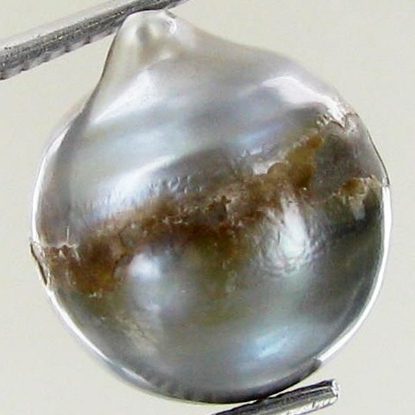 13.83ct Freeform Tahitian Black Pearl: Scarcely shaped; drilled and ready for one-of-a-kind pendant