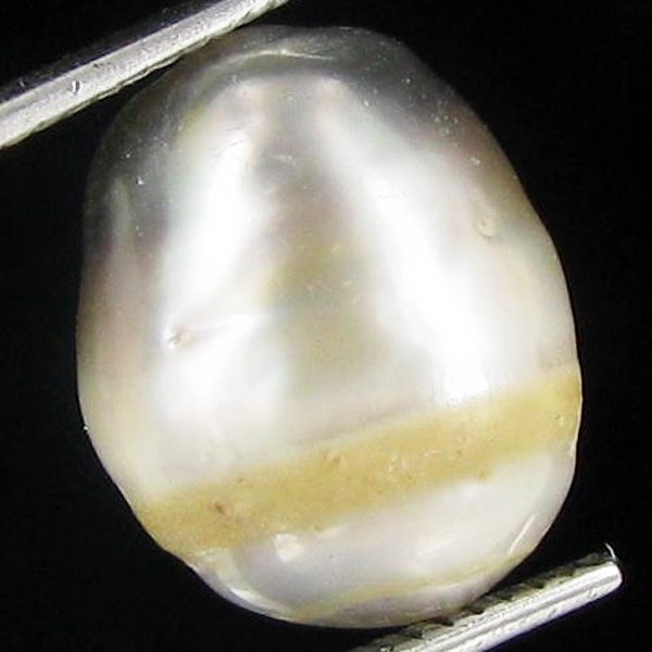8.21ct Freeform Tahitian Black Pearl: Scarcely shaped; drilled and ready for one-of-a-kind pendant