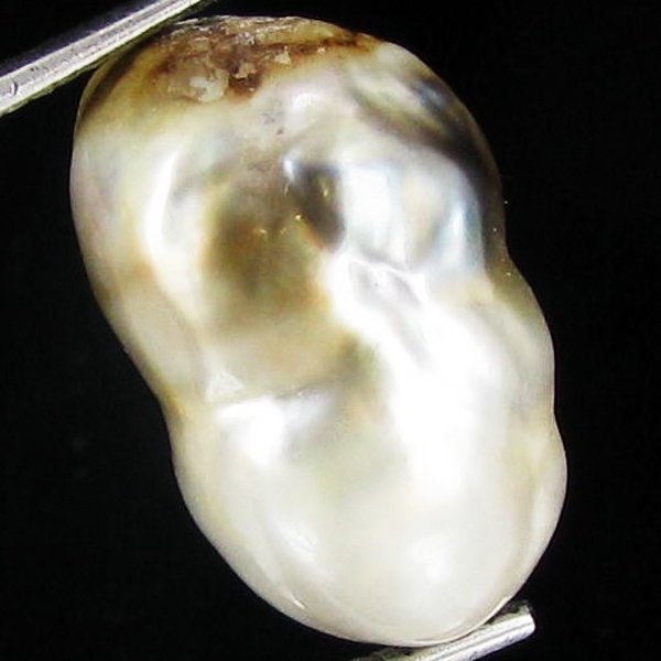7.9ct Freeform Tahitian Black Pearl: Scarcely shaped; drilled and ready for one-of-a-kind pendant