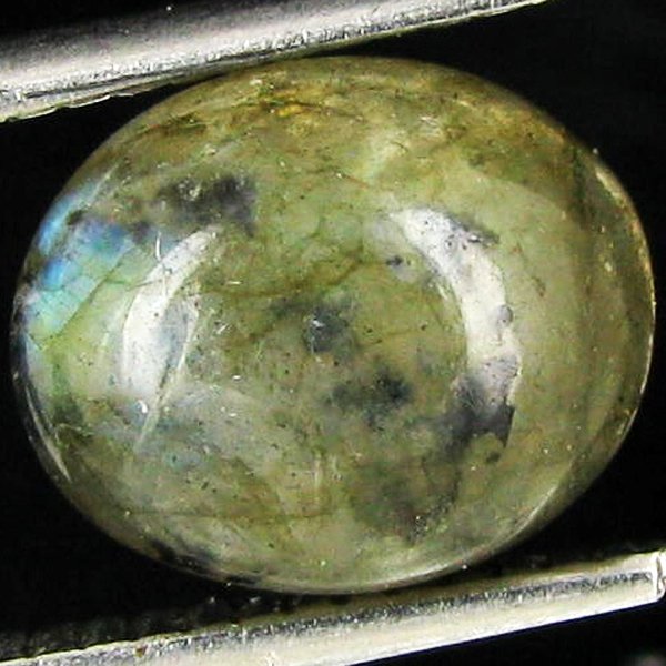 2.4ct Labradorite Cabochon Oval: Excellent piece; well cut and colored; with treatment