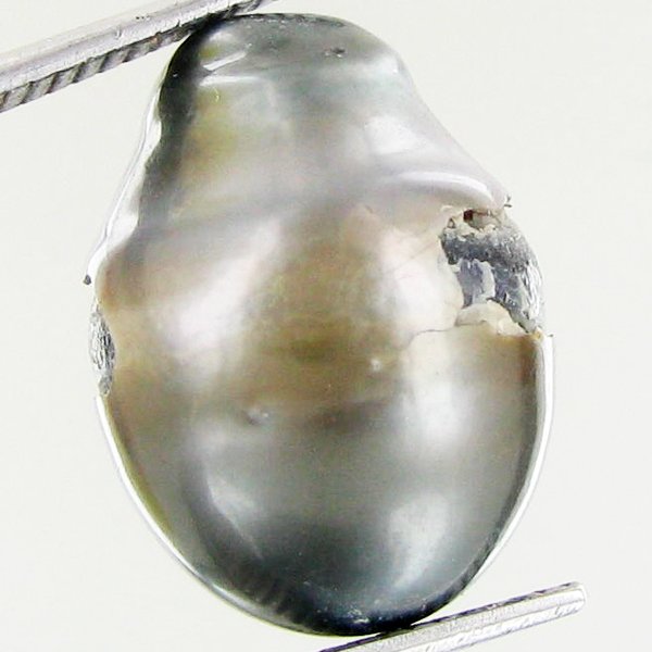 15.96ct Freeform Tahitian Black Pearl: Scarcely shaped; drilled and ready for one-of-a-kind pendant