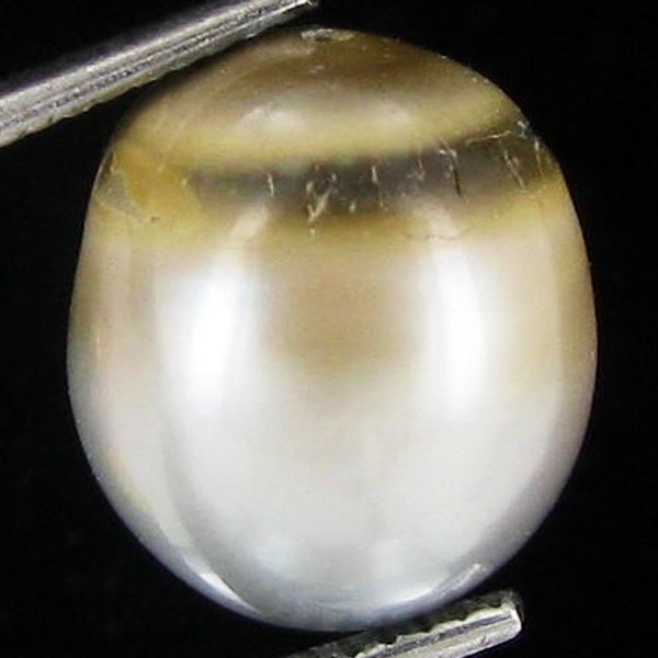 7.66ct Freeform Tahitian Black Pearl: Scarcely shaped; drilled and ready for one-of-a-kind pendant