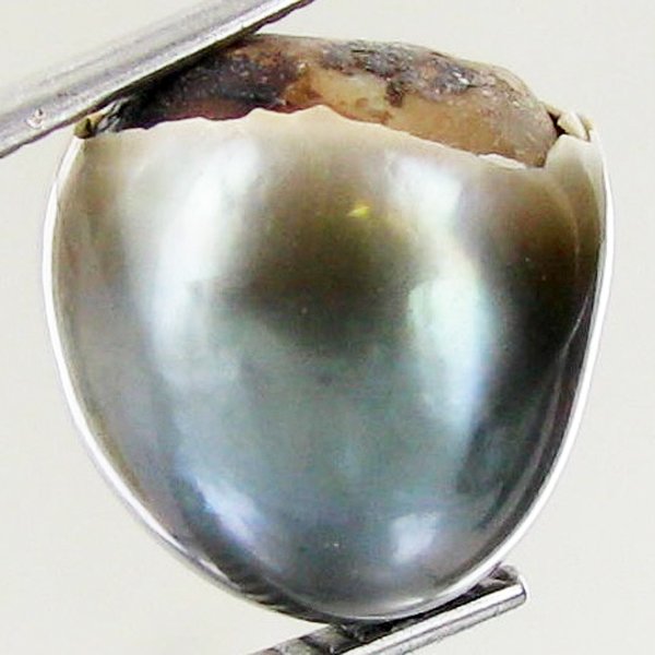 9.68ct Freeform Tahitian Black Pearl: Scarcely shaped; drilled and ready for one-of-a-kind pendant