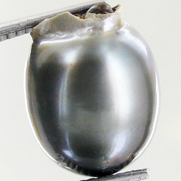 12.57ct Freeform Tahitian Black Pearl: Scarcely shaped; drilled and ready for one-of-a-kind pendant