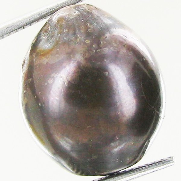 23.49ct Freeform Tahitian Black Pearl: Scarcely shaped; drilled and ready for one-of-a-kind pendant