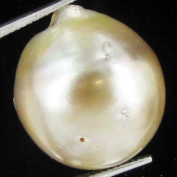 44.32ct Tahitian Baroque Pearl: Baroque shaped; drilled and ready for one-of-a-kind pendant