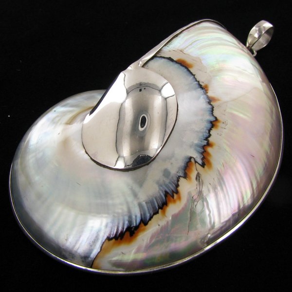 200twc Filled Nautilus Sterling Pendant