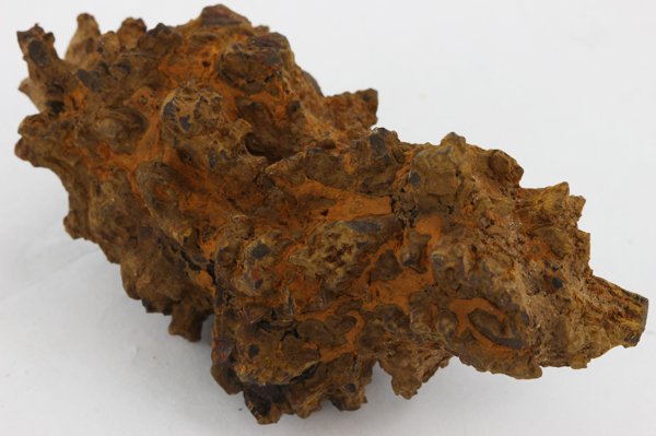 575ct Crystalized Coprolite Dinosaur Doo Cluster: Scarce large natural crystalized specimen; 50mm years old
