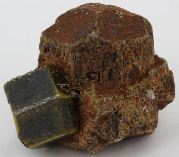 460ct Untreated Grossular Garnet Crystal Cluster