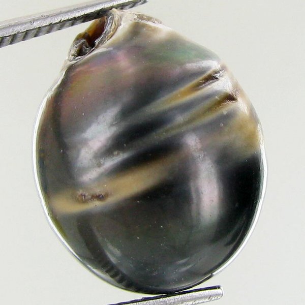22.85ct Freeform Tahitian Black Pearl: Scarcely shaped; drilled and ready for one-of-a-kind pendant