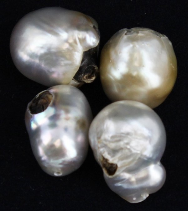 47.6ct Tahitian Pearl Freeform Parcel: Excellent Parcel; with customary treatment