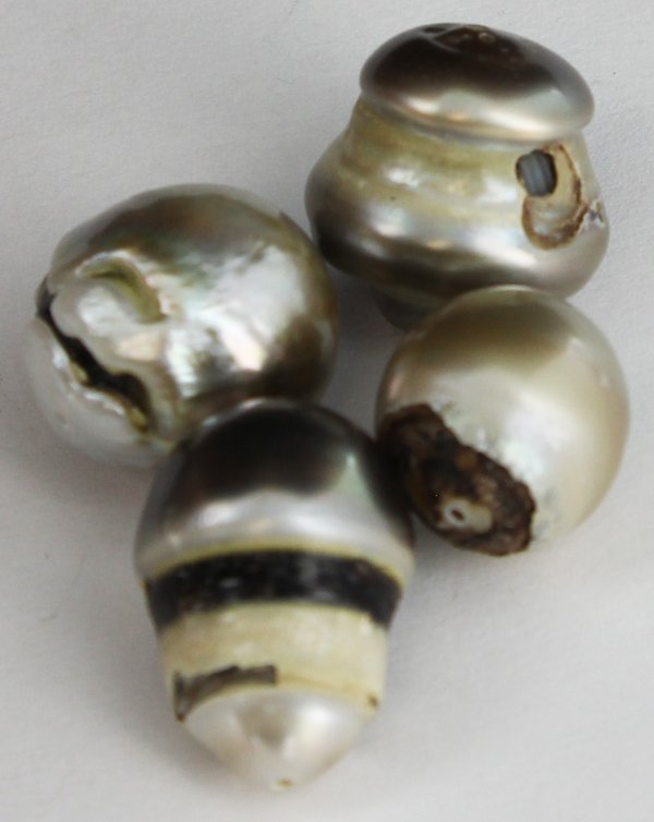 57.1ct Tahitian Pearl Freeform Parcel: Excellent Parcel; with customary treatment