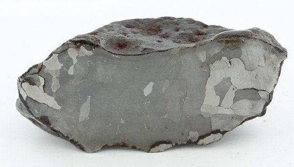 214gm Sliced/Etched Del Campo Meteorite Cut Half: Scarce remnant of prehistoric (2000-4000bc) meteorite discovered in the 16th century; a main mass of 18 tons has been discovered along with a shower of smaller breakup fragments; cosmic age is young f