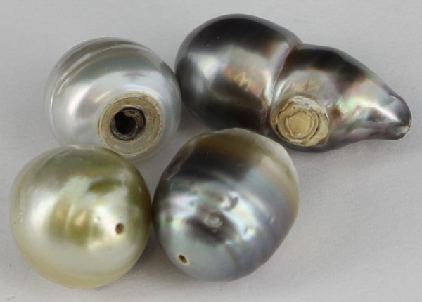 56.05ct Tahitian Pearl Freeform Parcel: Excellent Parcel; with customary treatment