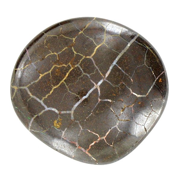 295ct Australian Boulder Opal: Excellent piece; well cut and colored; with treatment