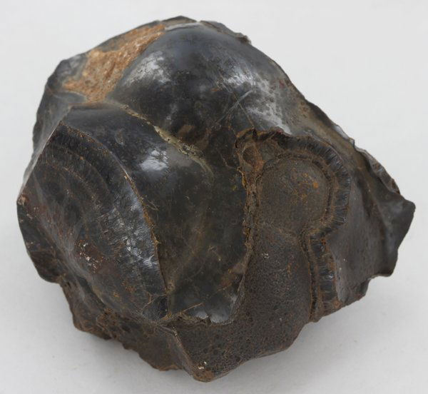 190gm Unique Volcanic Obsidian Mineral Specimen: Excellent unique specimen