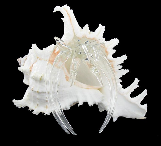 Blown Glass Hermit Crab in Shell (1 of 2)