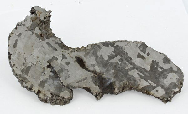 360gm Sliced/Etched Del Campo Meteorite Cut Half: Scarce remnant of prehistoric (2000-4000bc) meteorite discovered in the 16th century; a main mass of 18 tons has been discovered along with a shower of smaller breakup fragments; cosmic age is young f